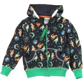 Boys Dinosaur Print Hoody