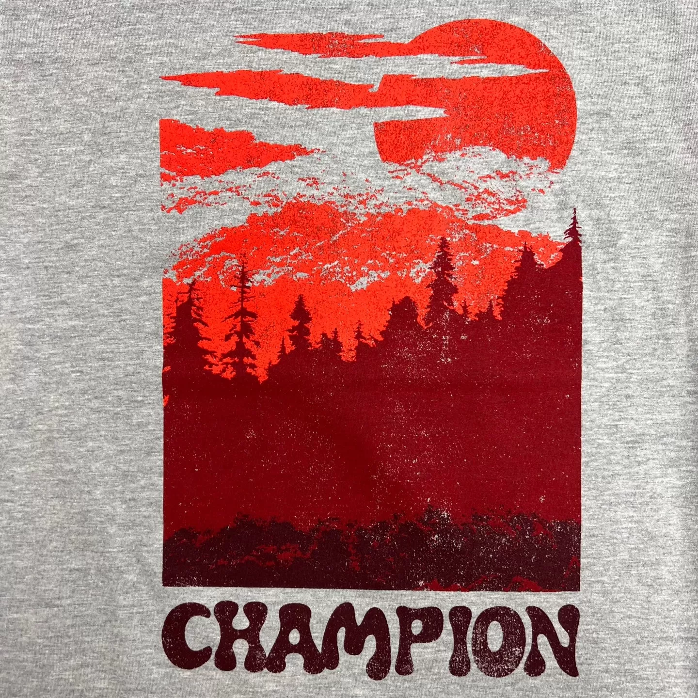 Champion Classic Tee, Mountains Graphic