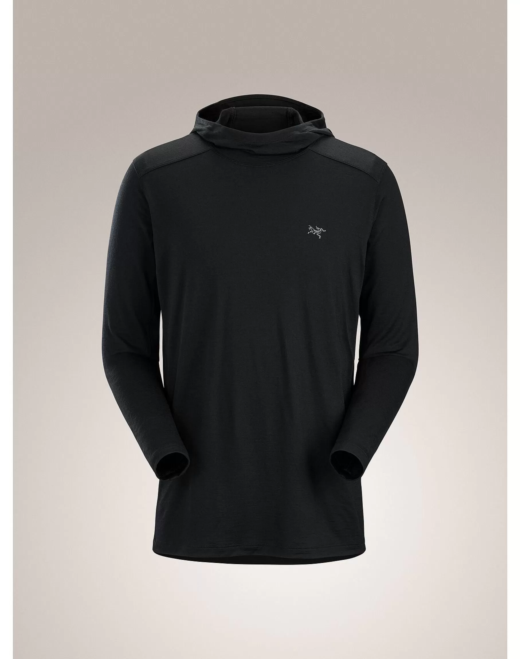 Ionia Merino Wool Hoody Men's