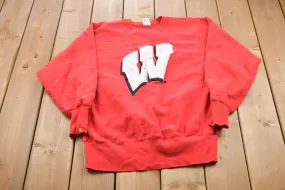 Vintage 1990s Wisconsin Badgers Champion Reverse Weave Crewneck Sweatshirt / 90s Crewneck / Souvenir / Athleisure / Streetwear / NCAA